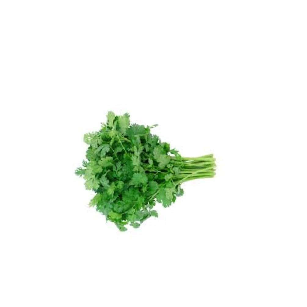 Coriander