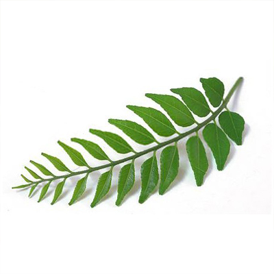 Curry Leaves