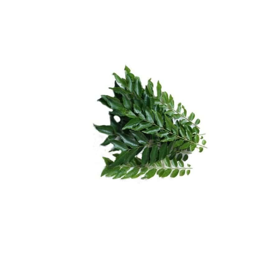 Curry Leaves