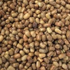 Turkish Gram / Moth Bean